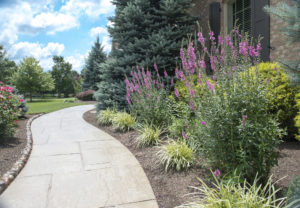 landscaped pathway at home in cincinnati, ohio