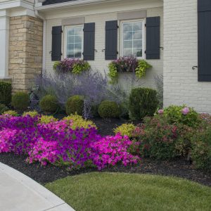 Landscape Design in Mason, Ohio