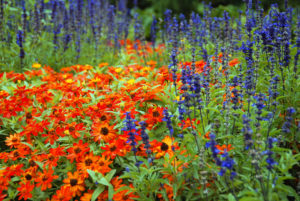 Plant Nursery in Cincinnati, Ohio