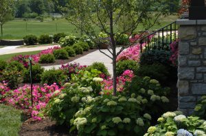 Pink and white flowers in home entry