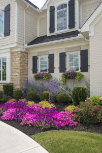 landscaped entry to home