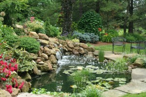 waterfall and patio area in landscaped yard