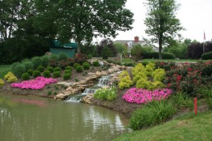 landscape home with flowers and bushes