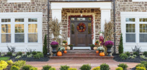 fall plants