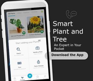 Smart Plant & Tree App providing mobile garden care tips