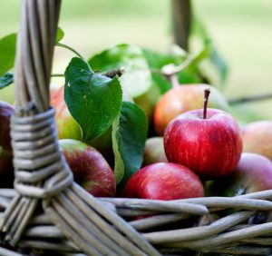 Collection of apple trees for home gardeners, including semi-dwarf, columnar, and espalier varieties with crisp fruit, sunny growing needs, and options for small yards or backyard orchards.