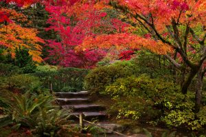 Fall garden cleanup with removed dead foliage to improve soil health for spring