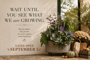 Fall Plants