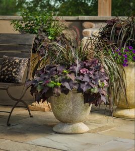 Fall Custom Container Garden Design, Cincinnati, Ohio