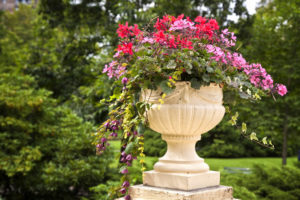 container gardening in west chester, ohio