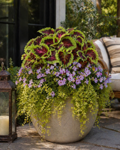 Shade container garden with colorful coleus, trailing creeping jenny, and decorative pots on a shaded Mason porch.