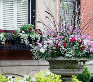 Design Services, Container Gardening Mason, Ohio