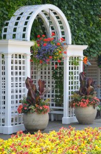 Container Garden Design with Colorful Plants