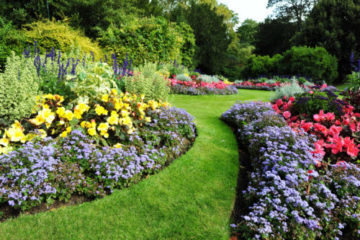 Colorful spring plants for Cincinnati gardens