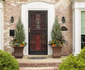 Dwarf evergreen shrubs in a large container garden, ideal for year-round interest at Cincinnati homes"