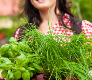 woman with herb plants including basil and chives