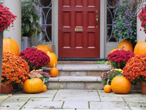 Mums used in colorful Cincinnati garden pathway for fall
