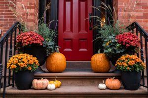 Container gardening ideas with vibrant mums