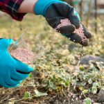 Fertilzing plants
