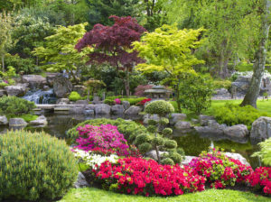 healthy fall garden in Cincinnati, Ohio