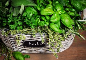 herbs growing in basket