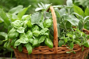 herbs in a basket