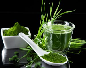 wheat grass from herb garden