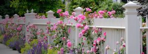 Vibrant spring garden with blooming flowers, lush greenery, and fresh plants at Natorp's Nursery Outlet. Explore a wide selection of trees, shrubs, perennials, and seasonal favorites to bring your garden to life this spring!