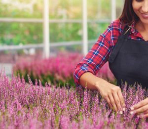 horticulturalist with plants