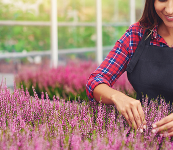 Team members at Natorp’s Nursery collaborating in a welcoming, plant-filled workspace in Cincinnati