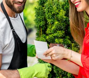Join Natorp’s Plant Club for free to enjoy exclusive gardening perks, expert tips, and discounts at Cincinnati’s trusted nursery.