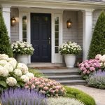 foundation planting with hydrangeas, evergreen, and perennials