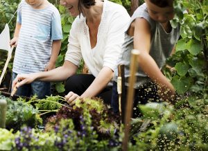 Kids planting flowers in a container garden at Natorp’s Nursery Cincinnati, learning fun gardening ideas with herbs, berries, and vegetables.