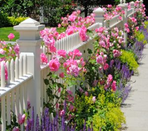 garden design services, west chester, ohio