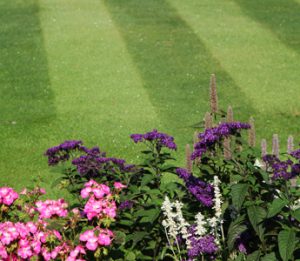 Cincinnati lawn care tips from Natorp's Landscape