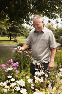 Summer Watering Tips Summer Watering