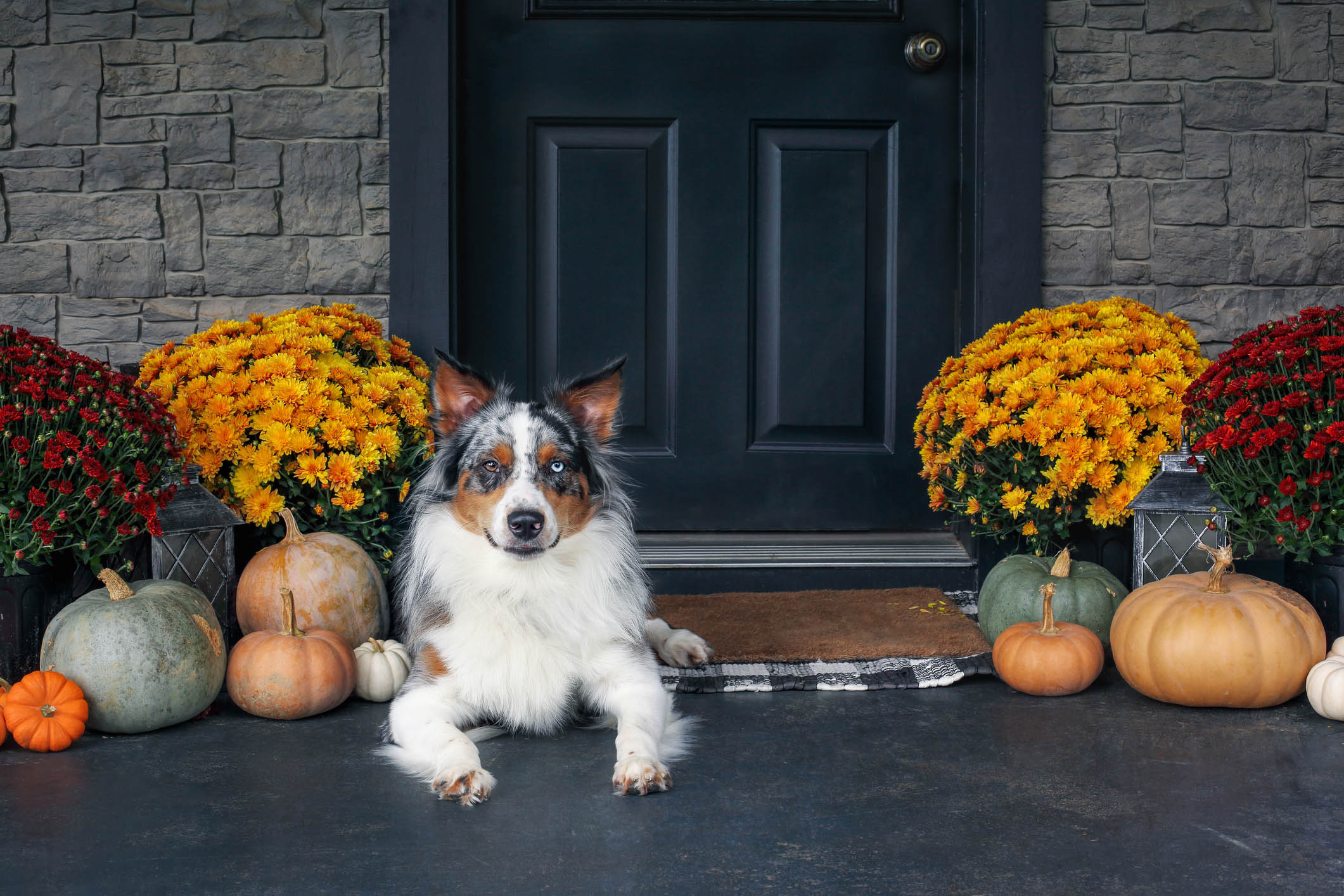 Fall Container Garden, Cincinnati, Ohio