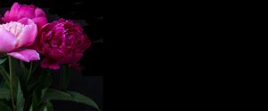 peony2