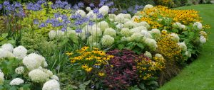 Perennial Garden in Cincinnati, Ohio