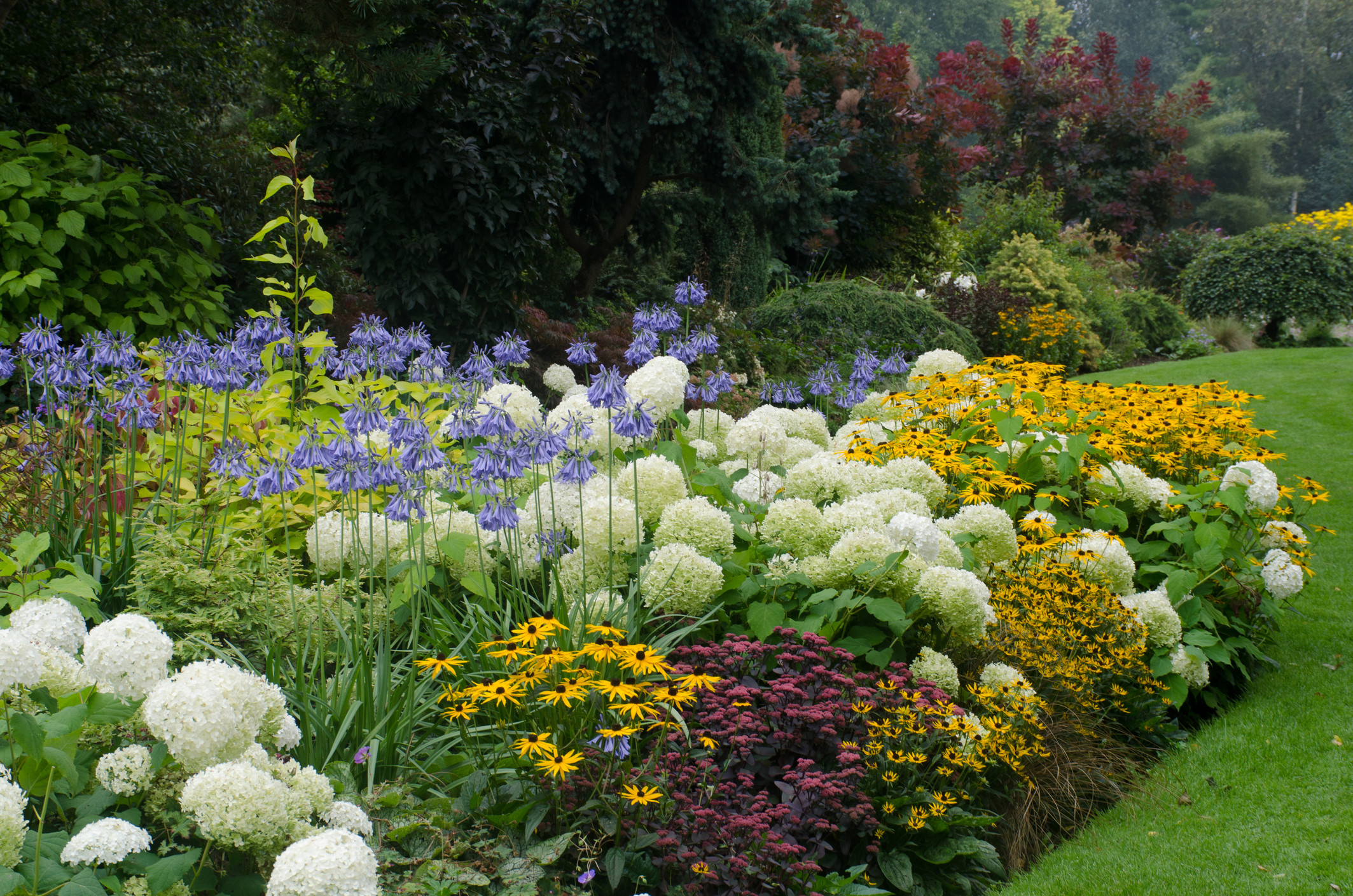 How To Plant The Perfect Perennial Garden Natorps