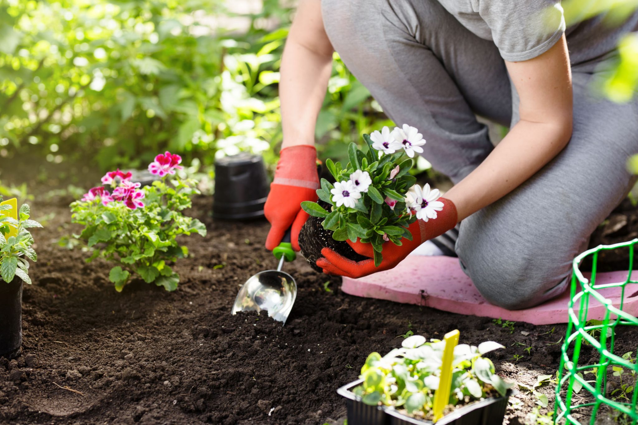 Spring Garden Tips from Natorp's Nursery, Cincinnati, Ohio