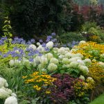 Colorful perennial garden in Cincinnati with seasonal blooms.