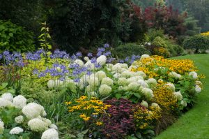 Colorful perennial garden in Cincinnati with seasonal blooms.