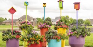Colorful pollinator planter filled with lantana, salvia, and petunias attracting butterflies and bees on a sunny patio in Cincinnati, Ohio