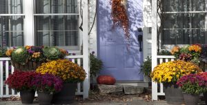 fall porch decor with mums, kales, and grasses