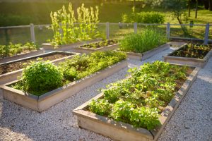 Raised Bed Garden, Cincinnati, Ohio