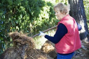 Straw Bale Gardening