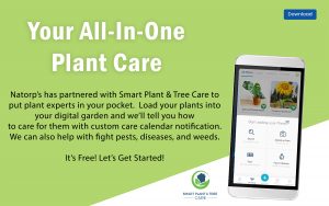 Smart Plant and Tree Care