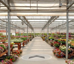 natorp greenhouse virtual tour photo