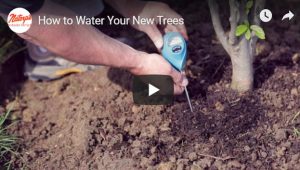 watering plants in cincinnati, ohio